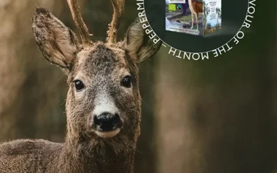 Meet the deer behind our Peppermint