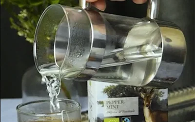 Brewing Peppermint REEL