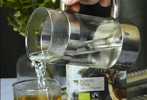 Brewing Peppermint REEL